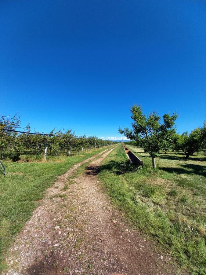 Agriturismo Il Fontanile Villa Valeggio sul Mincio Luaran gambar