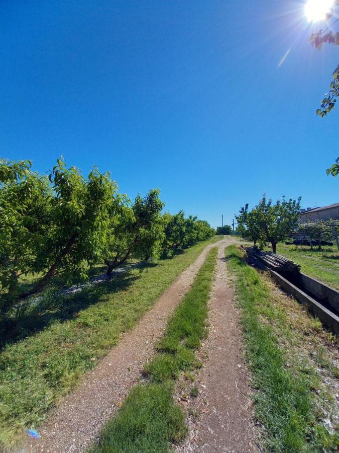 Agriturismo Il Fontanile Villa Valeggio sul Mincio Luaran gambar